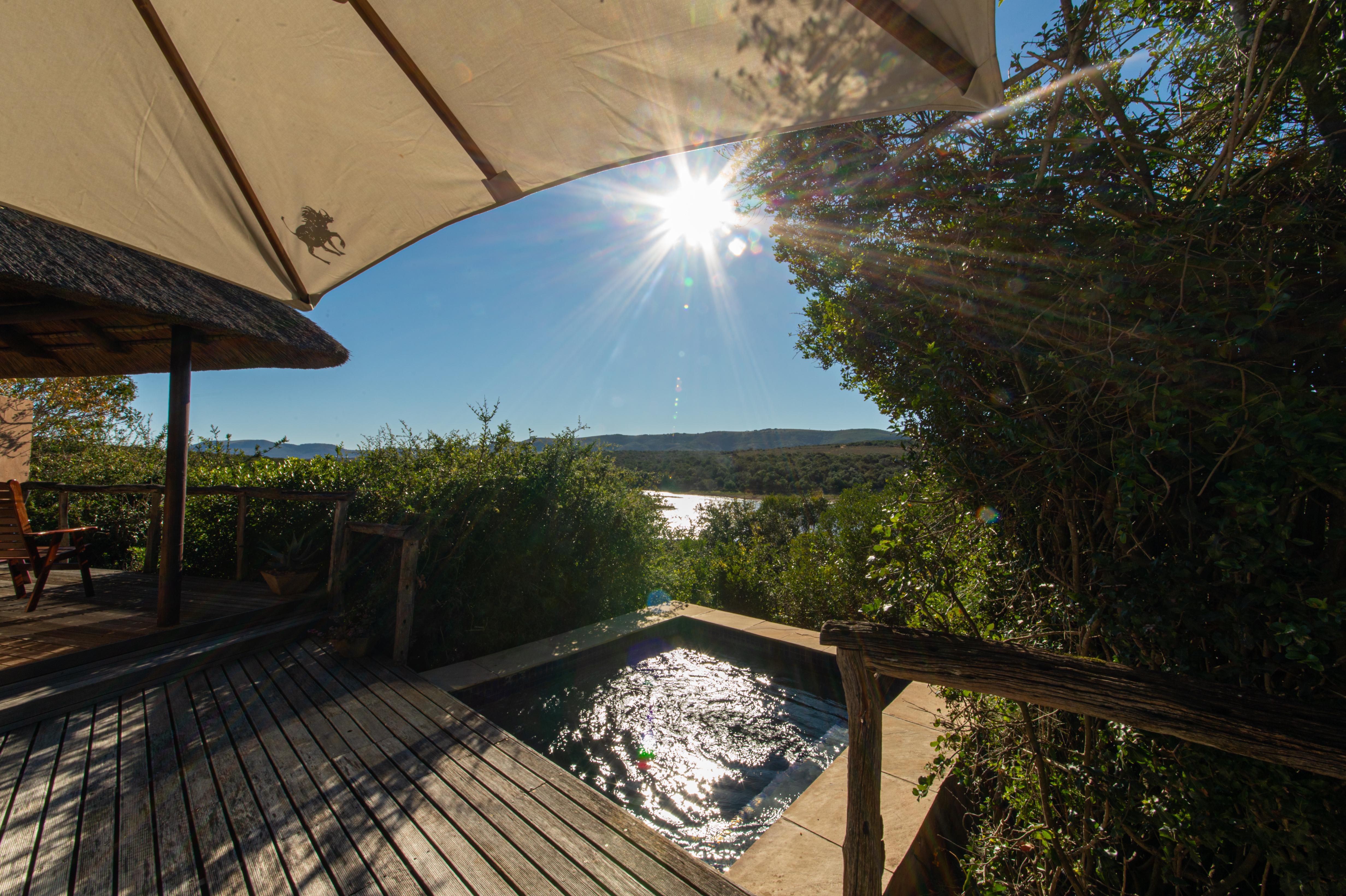Pumba Private Game Reserve Порт Елизабет Екстериор снимка