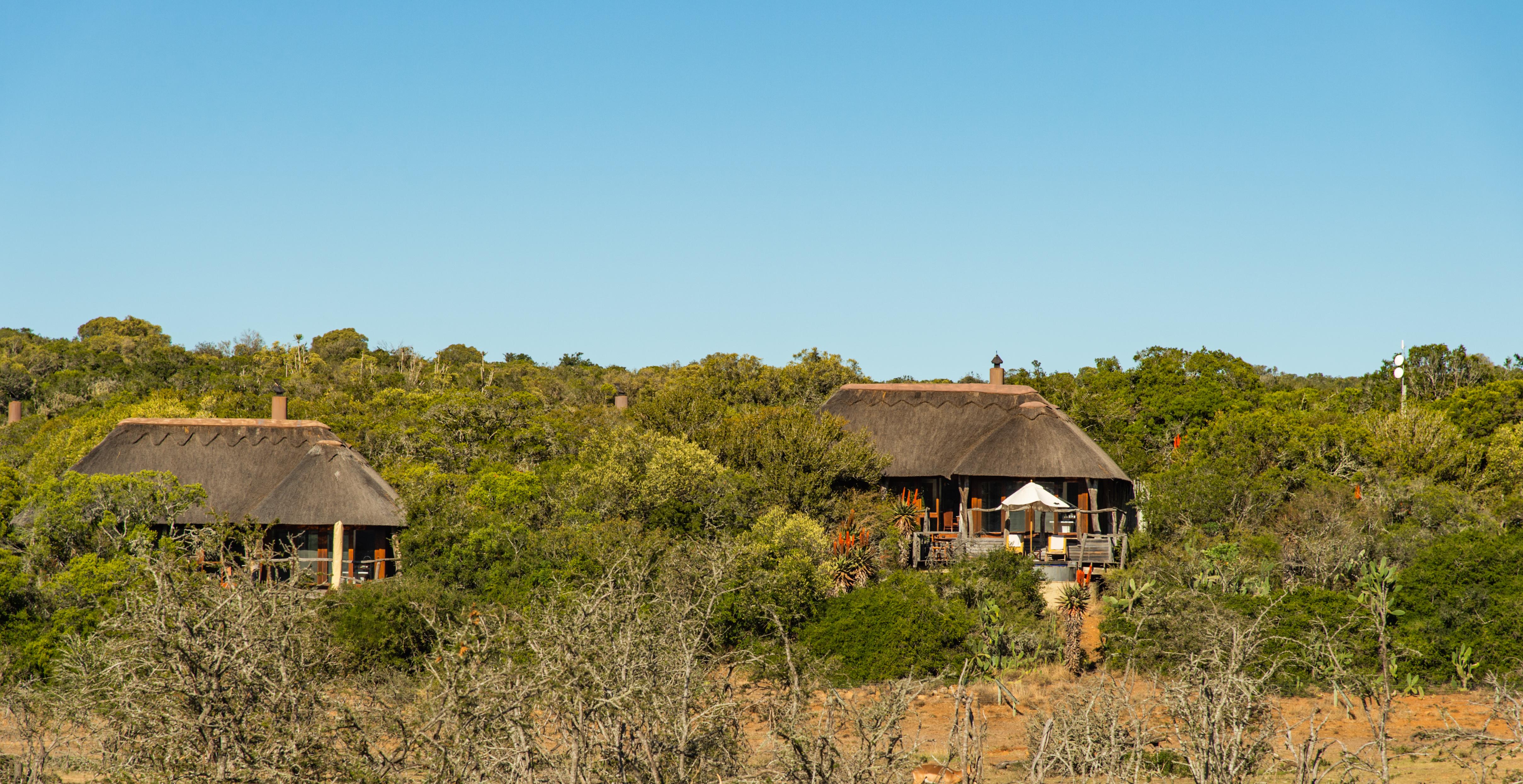 Pumba Private Game Reserve Порт Елизабет Екстериор снимка